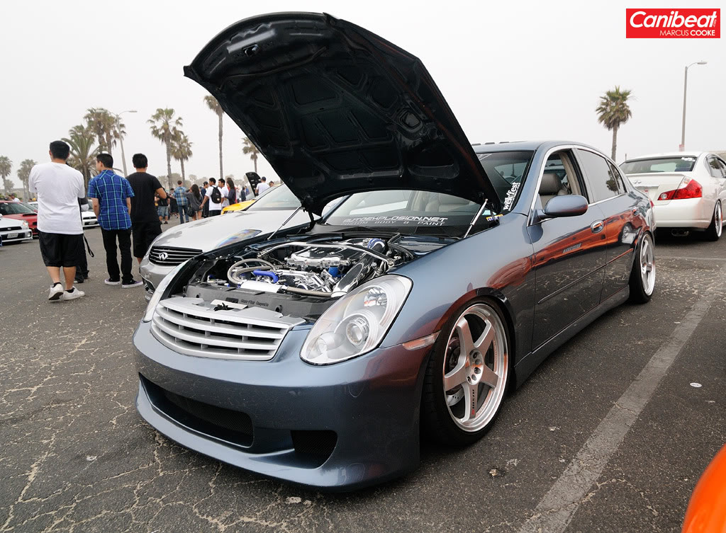 Name:  DSC_4771copy.jpg
Views: 163
Size:  222.5 KB