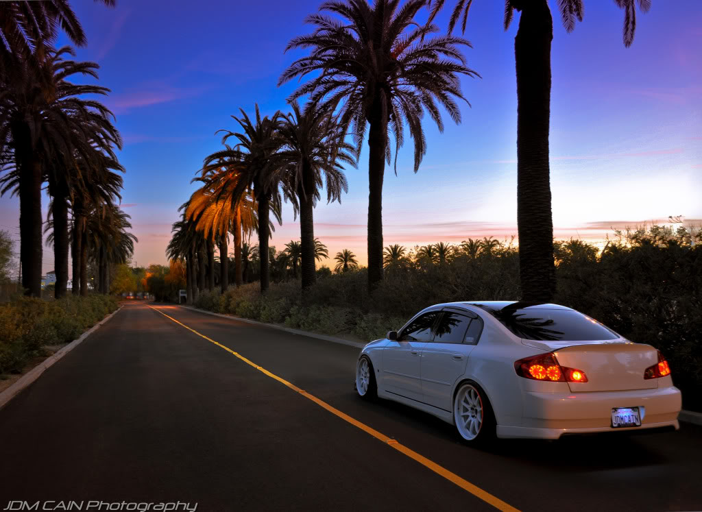 Name:  DSC_3171.jpg
Views: 142
Size:  136.4 KB