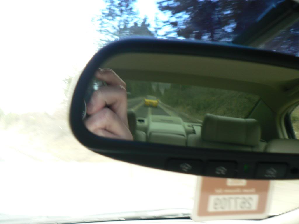 Name:  P1000613.jpg
Views: 356
Size:  46.1 KB