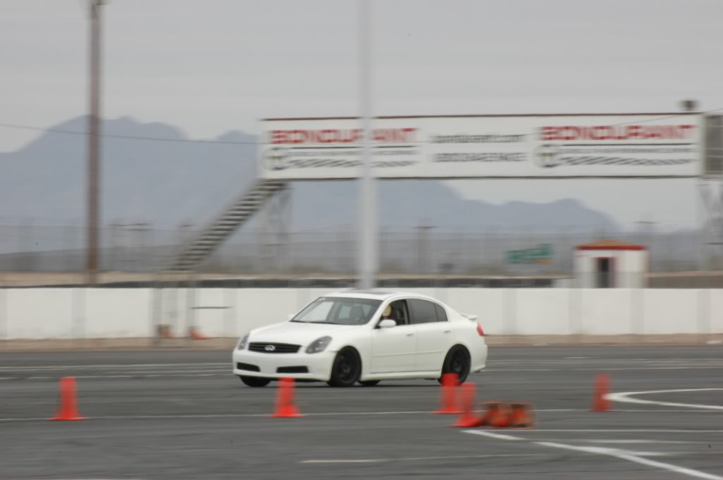 Name:  DSC_2408.jpg
Views: 255
Size:  72.4 KB