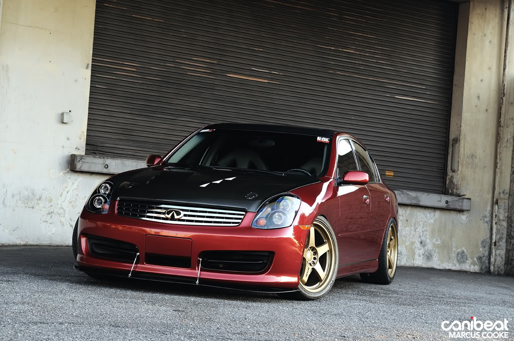 Name:  DSC_1062copy.jpg
Views: 41
Size:  174.9 KB