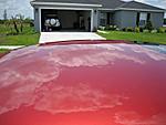 Another clean G-clean-roof.jpg