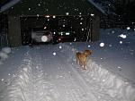 Winter/Snow Picture Thread-attesa-ets_blizzak_test_pass_800x600.jpg