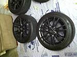 Serengeti sand with Black stockers-after-3-.jpg