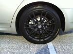 Serengeti sand with Black stockers-photo-2.jpg