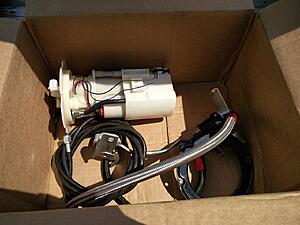 S.O.S. - Signaled Out Sedan-o9i1m2c.jpg
