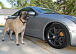 Photoshopped Black Stock 18s on GE-ben2.jpg