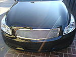 YAY or NAY??-dsc00914.jpg