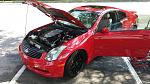 Newbie From Jacksonville, Fl-20140718_162502.jpg