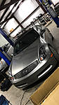 New Member from Mississippi!-photo365.jpg