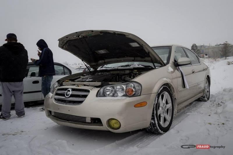 Name:  549617_10151846888552151_1279398971_n_zps4066c6e2.jpg
Views: 111
Size:  40.9 KB