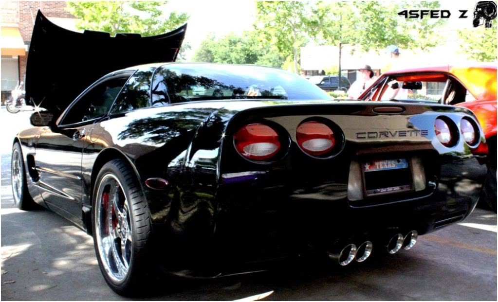Name:  Rear.jpg
Views: 41
Size:  100.3 KB