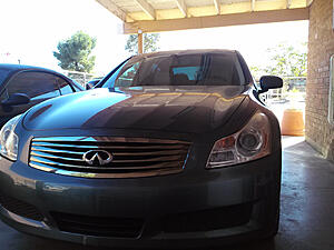New and excited member-bqax33g.jpg