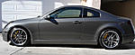 What's Up, New to the Forum!-dsc01257.jpg