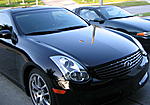 New Poster - Sort of New Owner-g3504.jpg