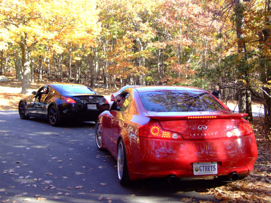 Name:  virginiacruise025.jpg
Views: 19
Size:  168.5 KB