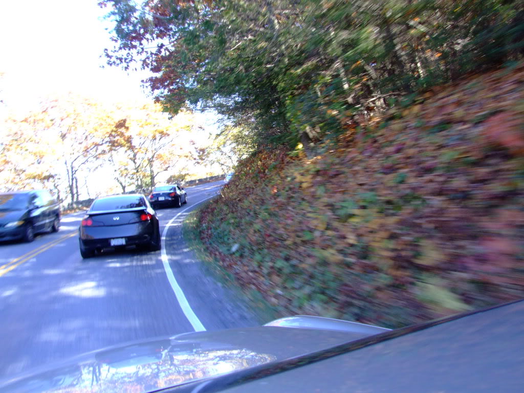 Name:  virginiacruise024.jpg
Views: 40
Size:  144.5 KB