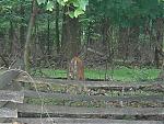 Spring Pa G Meet @ Vf Park - June 4-dsc00624.jpg