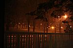 Snow in the Forecast! (Boston area)-copy-img_0668.jpg