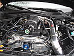 hin07-matthew-g-219.jpg
