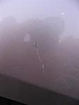 Fender Gash!! 920.00 to repair.WTF!!!!-118_1336-large-.jpg