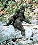 I Can't Keep Up With All The Meets!-bigfoot1.jpg