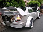 Your Favorite Cat Pics-ricer-48377.jpg
