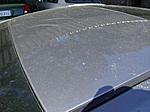 Matte black/ carbon fiber coupe around foster city.-tree3.jpg