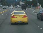 Official: WA Spotted Thread-img_20101119_114726.jpg