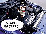 Look WTF happen to my car-sockgenius.jpg