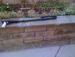 75cm spear gun-img_1214.jpg