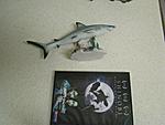 Come &amp; get it, all for sale 1st come 1st served-shark-display1.jpg