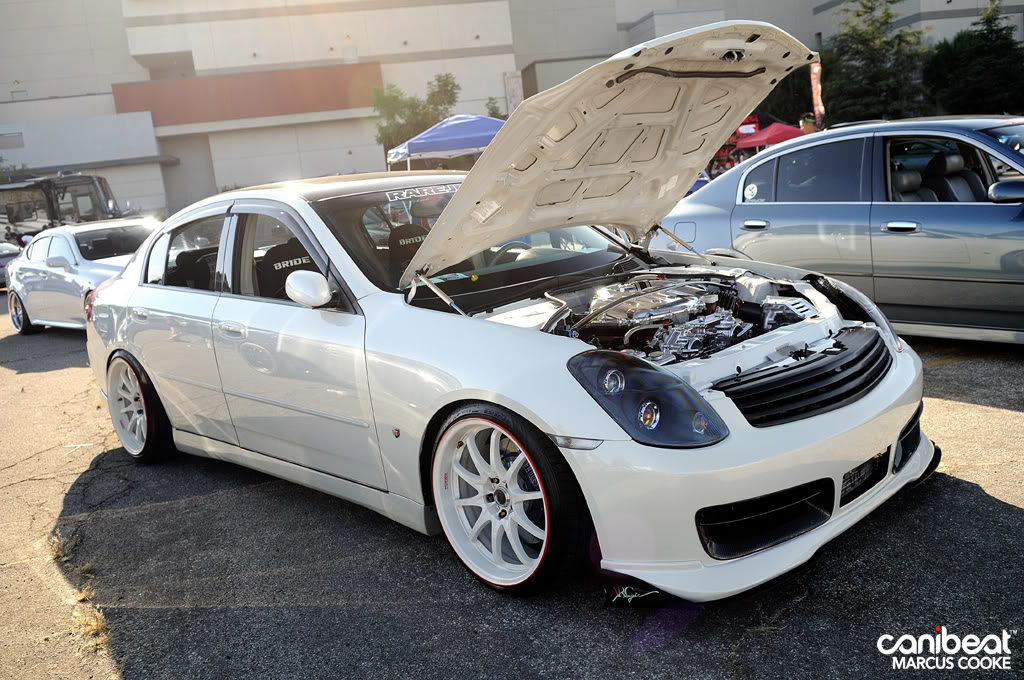 Name:  DSC_4766copy.jpg
Views: 304
Size:  183.5 KB