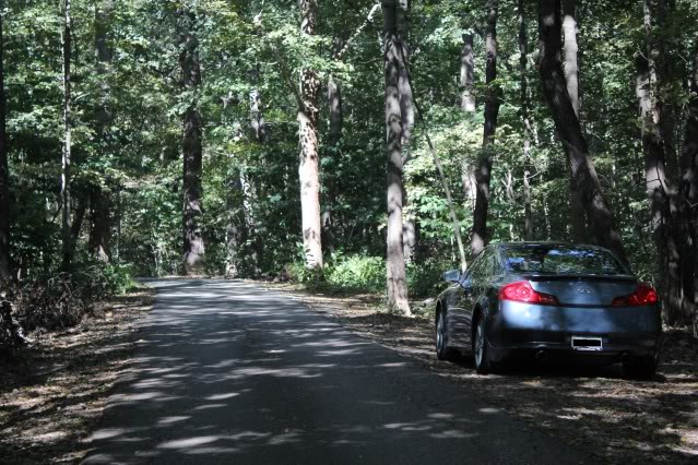Name:  rear3.jpg
Views: 388
Size:  111.4 KB