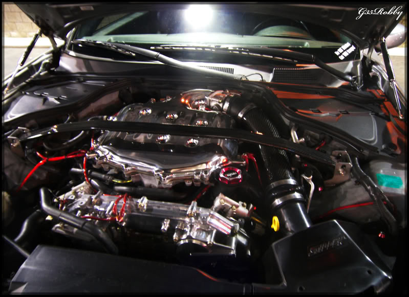 Name:  102_1526copy.jpg
Views: 78
Size:  92.4 KB