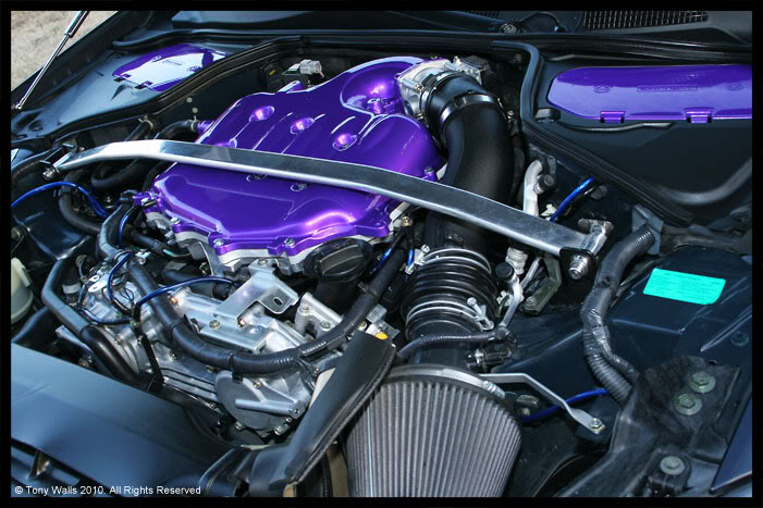 Name:  IMG_8274_web.jpg
Views: 5543
Size:  98.7 KB