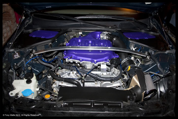 Name:  IMG_8279_web.jpg
Views: 702
Size:  83.3 KB