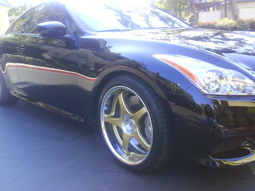 Name:  DSC00161.jpg
Views: 113
Size:  94.7 KB