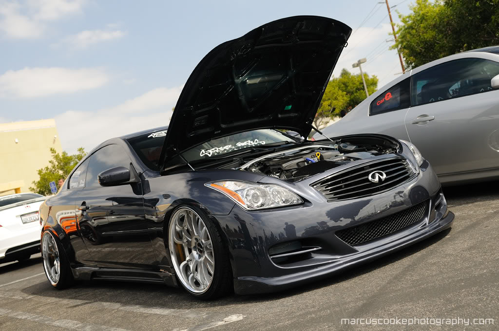 Name:  DSC_4327copy.jpg
Views: 376
Size:  164.5 KB