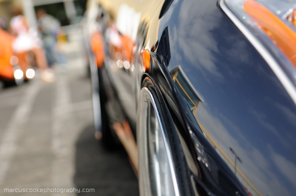 Name:  DSC_4329copy.jpg
Views: 128
Size:  80.5 KB