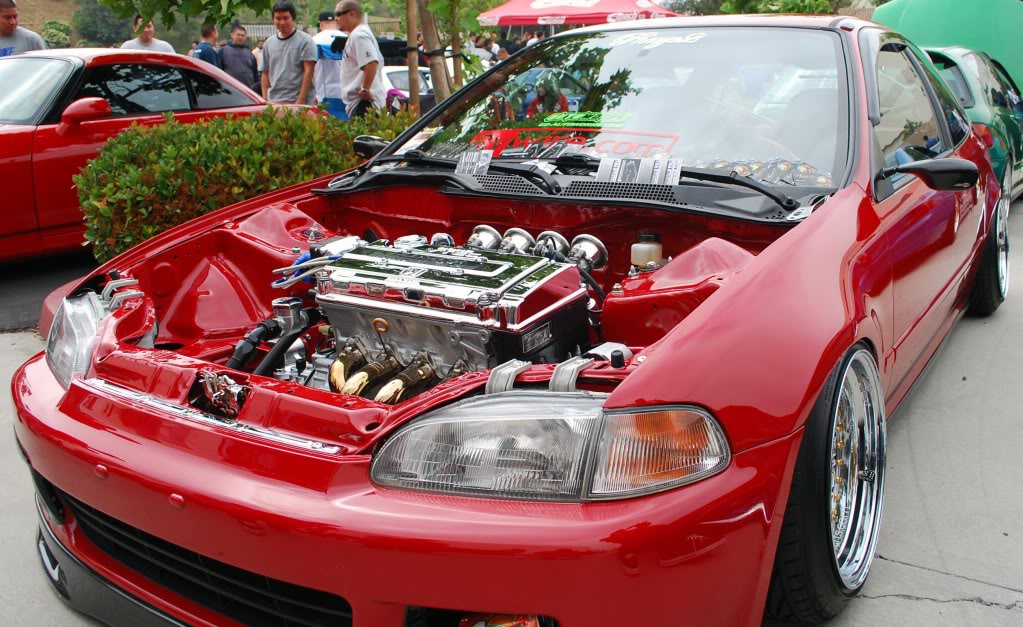 Name:  DSC_1543_312.jpg
Views: 74
Size:  165.3 KB