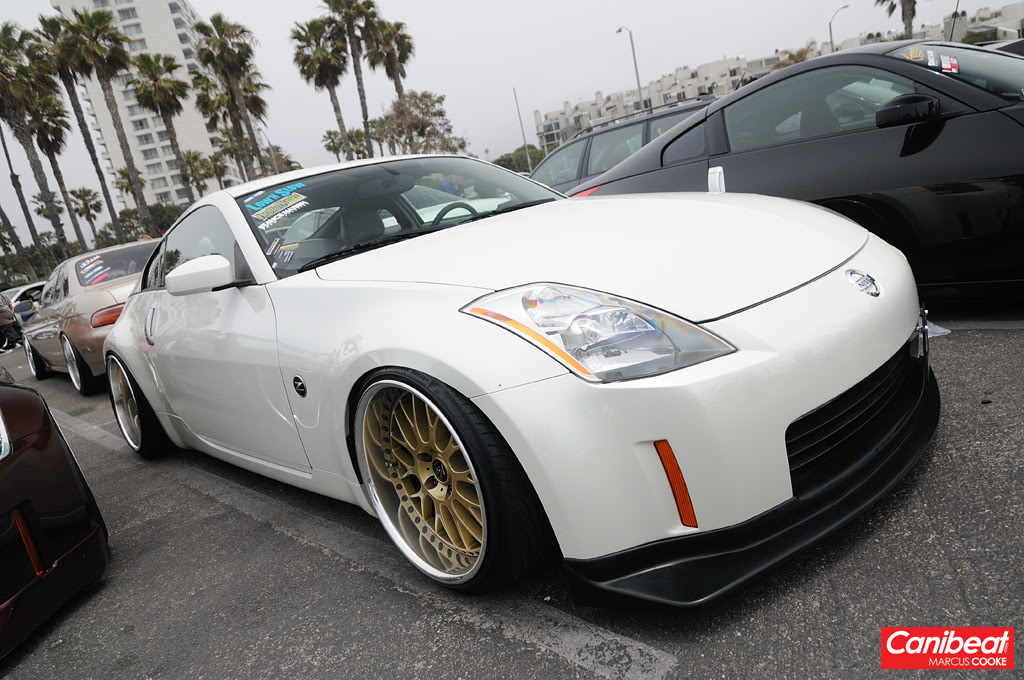 Name:  DSC_4798copy.jpg
Views: 157
Size:  179.7 KB