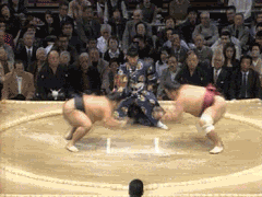 Name:  1211650129086.gif
Views: 27
Size:  958.1 KB