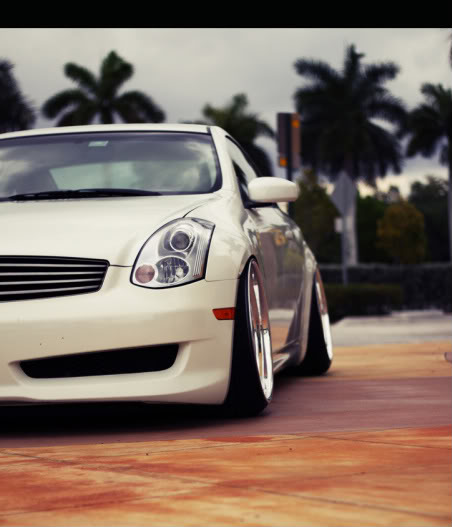 Name:  stateofstance8.jpg
Views: 47
Size:  34.8 KB