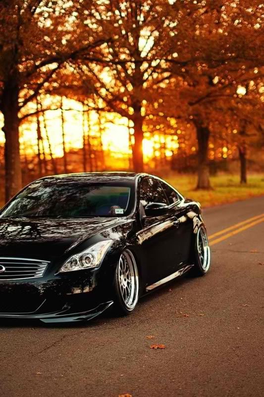 Name:  g377.jpg
Views: 59
Size:  110.7 KB