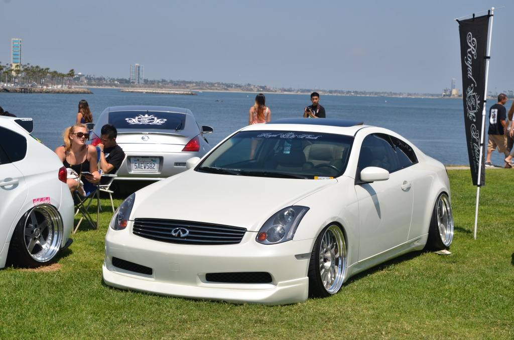 Name:  DDW_2482.jpg
Views: 86
Size:  211.0 KB