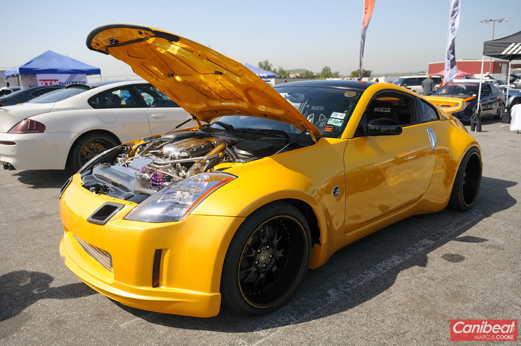Name:  DSC_3338copy.jpg
Views: 664
Size:  184.1 KB