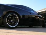 Black Beauty Pics......  56K Beware.................-dscn1583-medium-.jpg