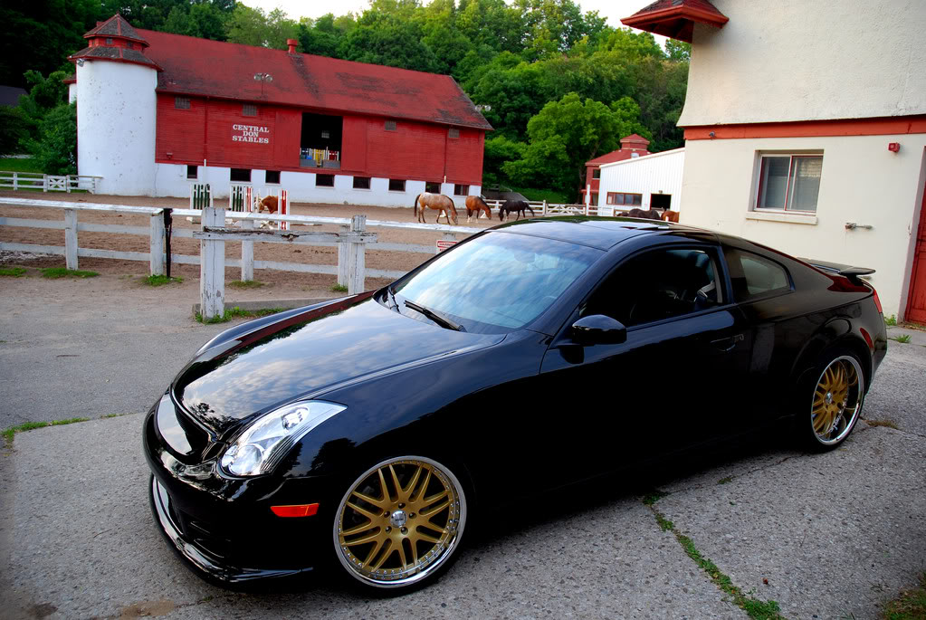 Name:  DSC_0027.jpg
Views: 57
Size:  195.8 KB