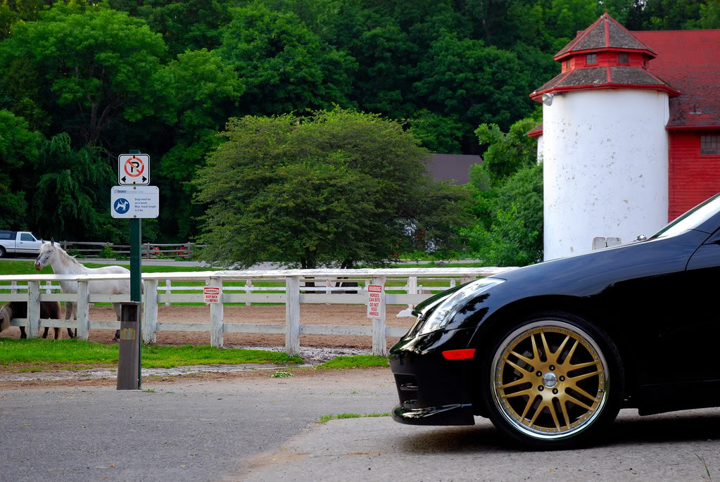Name:  DSC_0025.jpg
Views: 55
Size:  203.4 KB